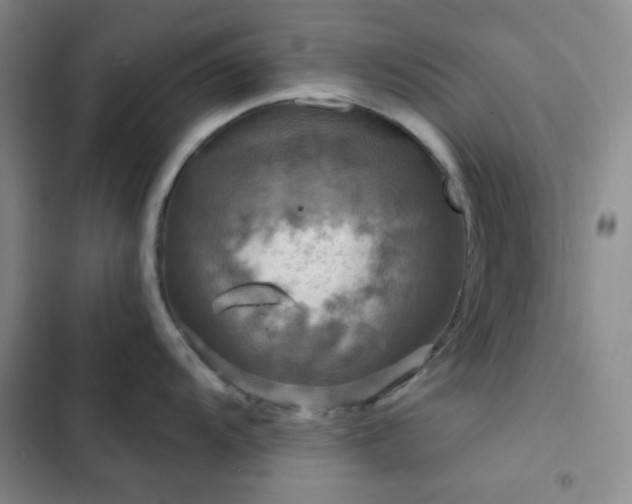 X0000103221104200808281401