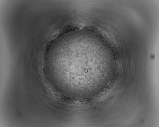X0000103221105200808281400