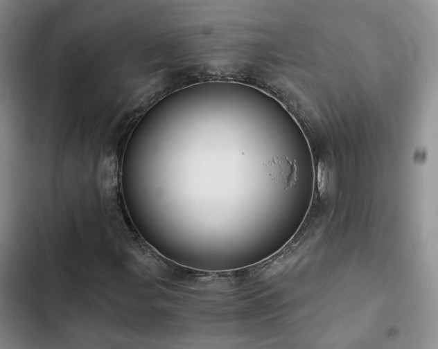 X0000103221107200808281400