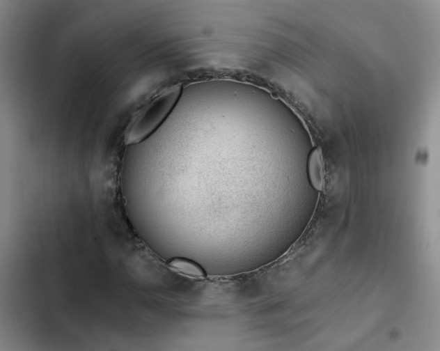 X0000103221110200808281401
