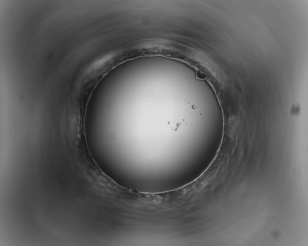 X0000103221111200808281401