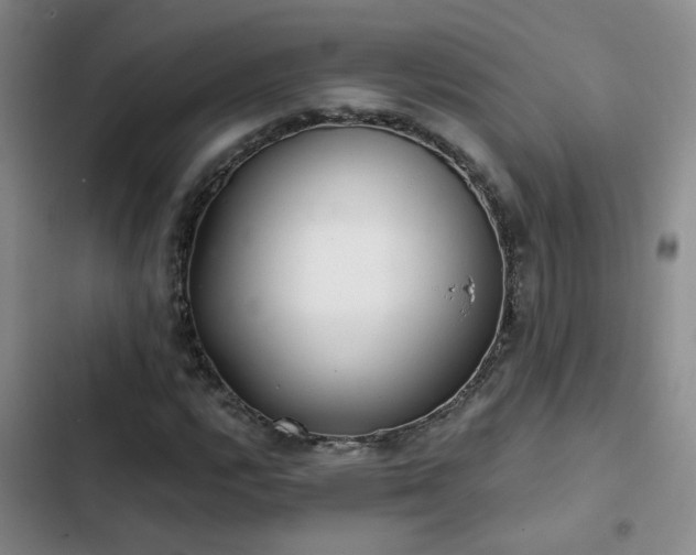 X0000103221112200808281401