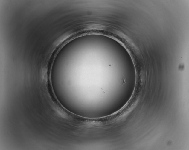 X0000103221113200808281401
