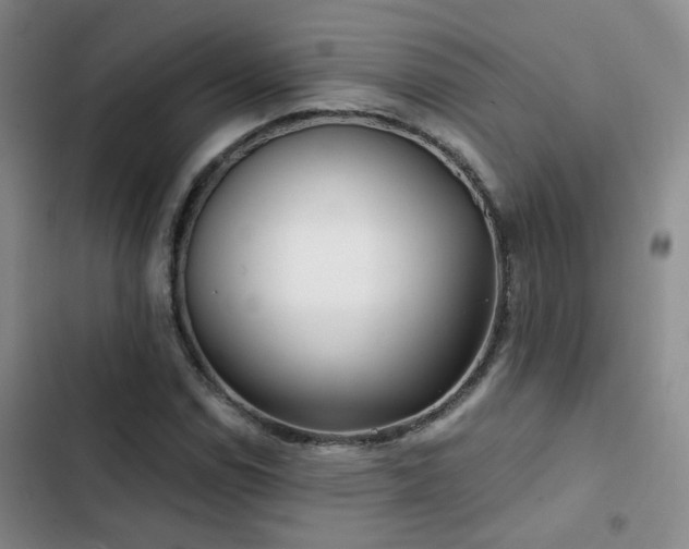 X0000103221114200808281401