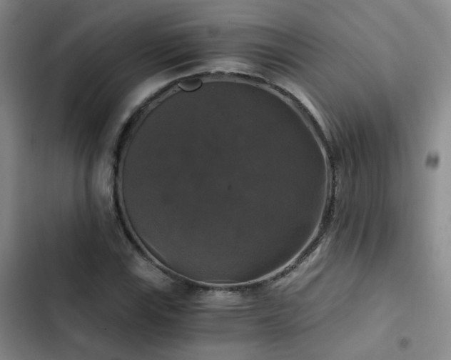 X0000103221115200808281401