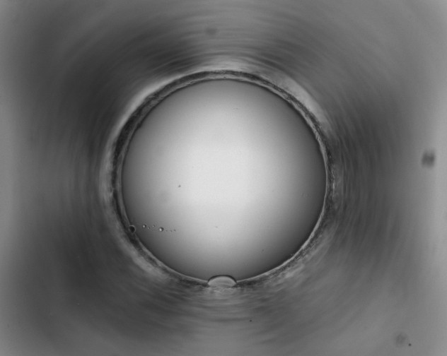X0000103221116200808281401