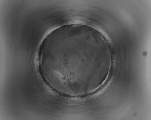 X0000103221117200808281401