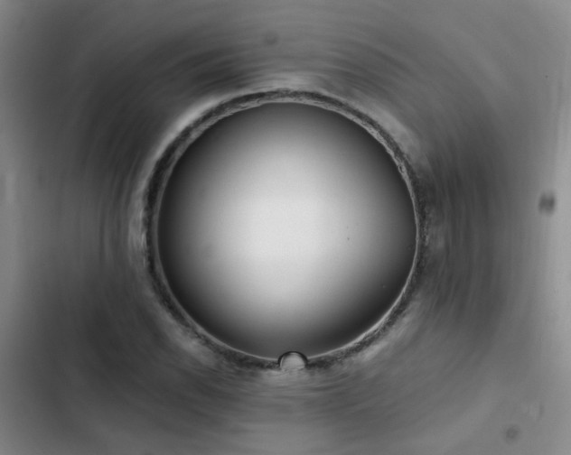 X0000103221118200808281401