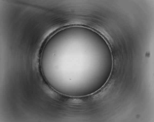 X0000103221119200808281401