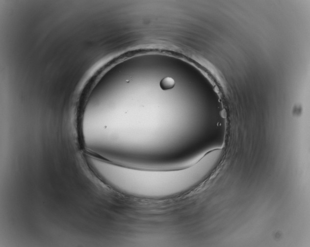 X0000103221120200808281401