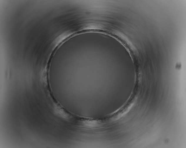 X0000103221121200808281401
