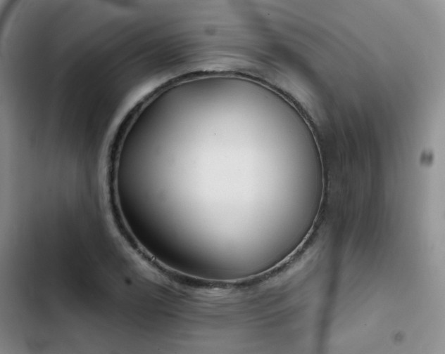 X0000103221122200808281401