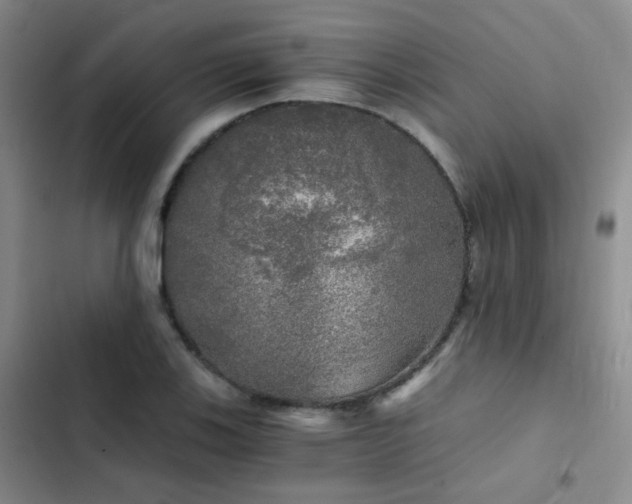 X0000103221123200808281401