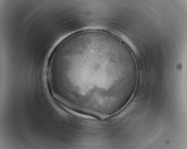 X0000103221124200808281401