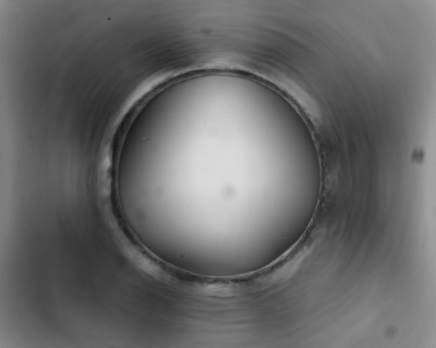 X0000103221126200808281401