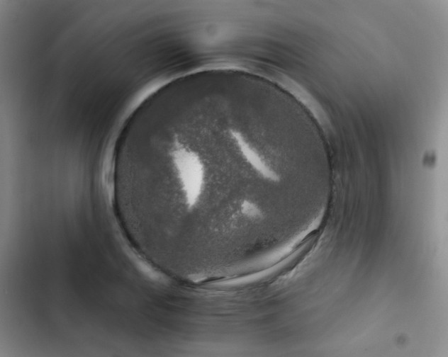 X0000103221127200808281401