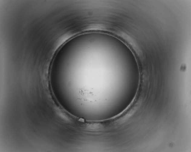 X0000103221129200808281401