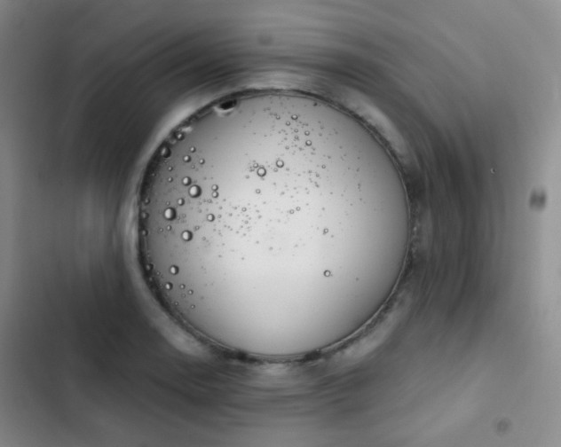 X0000103221130200808281401