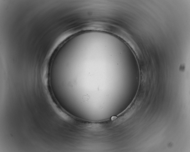 X0000103221131200808281401