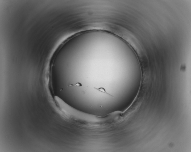 X0000103221132200808281401
