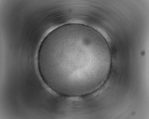 X0000103221133200808281401