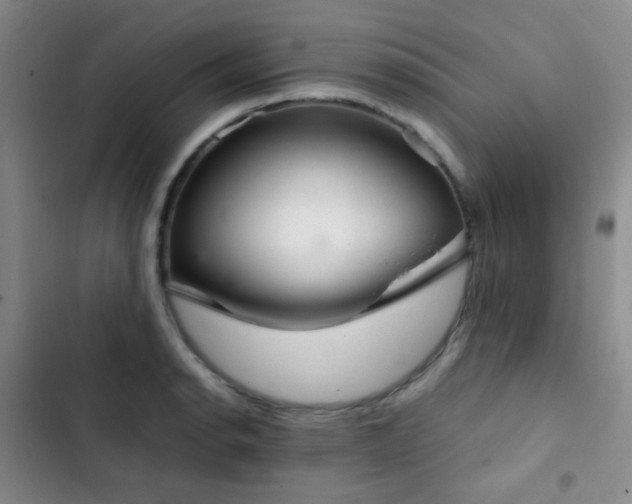 X0000103221134200808281401