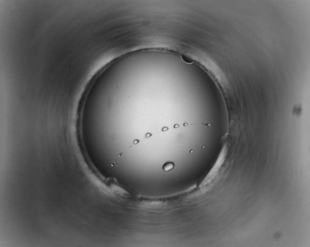 X0000103221135200808281401