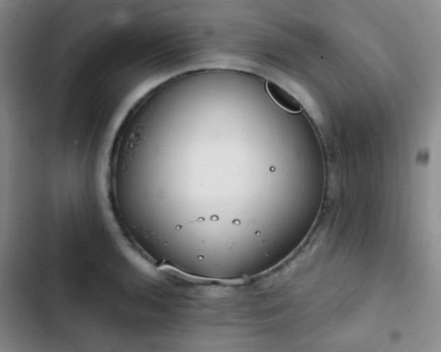 X0000103221136200808281401