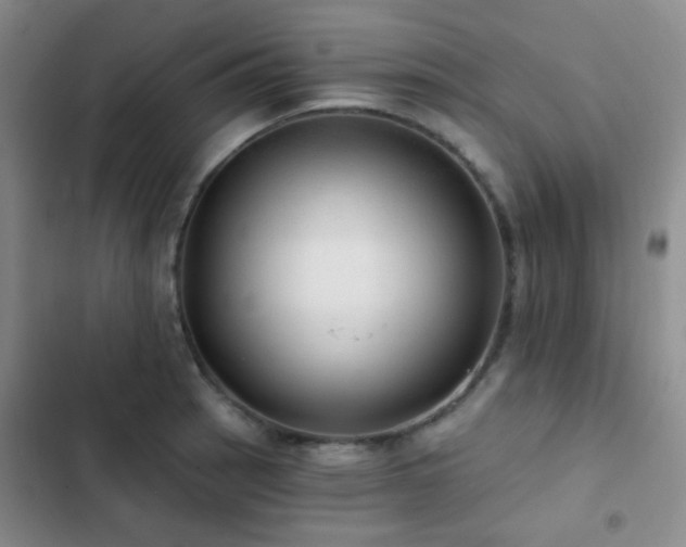 X0000103221137200808281401