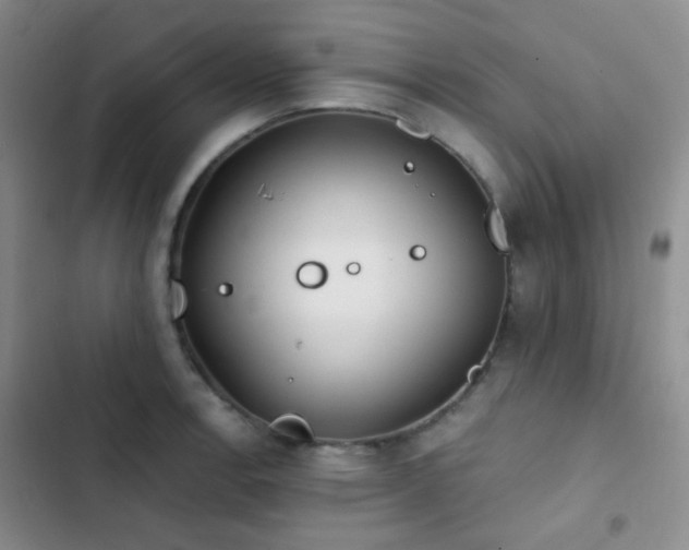X0000103221138200808281401