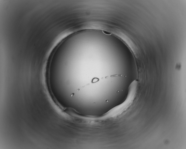 X0000103221139200808281401