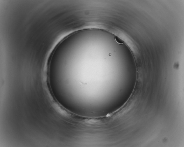X0000103221140200808281401