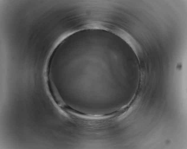 X0000103221141200808281401