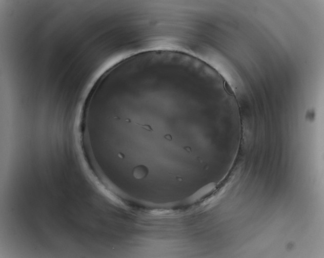 X0000103221142200808281401