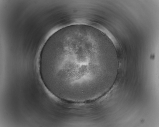 X0000103221143200808281401