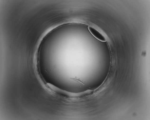 X0000103221144200808281401
