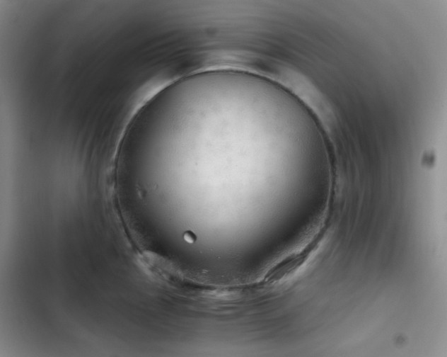X0000103221145200808281401