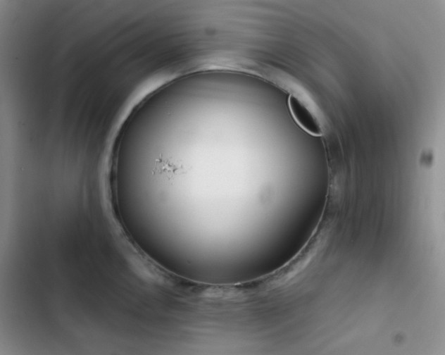 X0000103221146200808281401