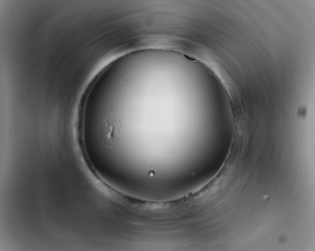 X0000103221147200808281401