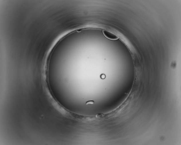 X0000103221148200808281401