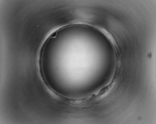 X0000103221149200808281401
