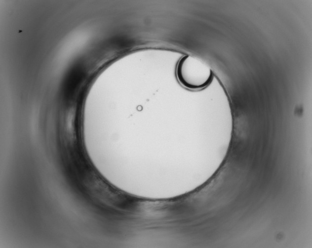 X0000103221150200808281401