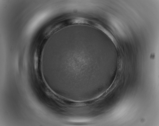 X0000103221151200808281401