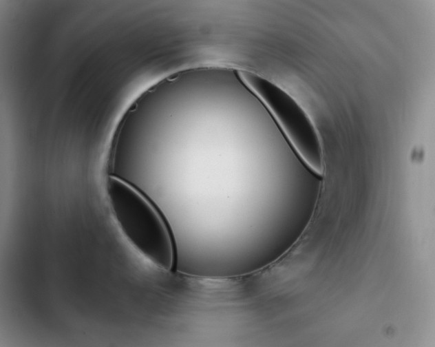 X0000103221152200808281401