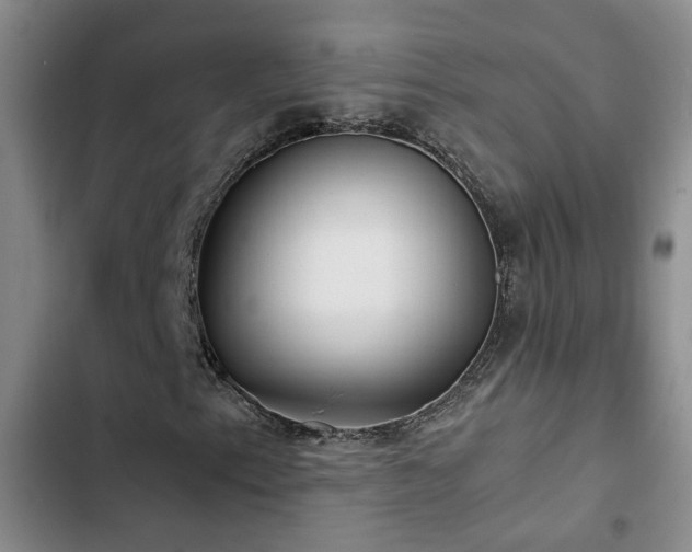 X0000103221153200808281400