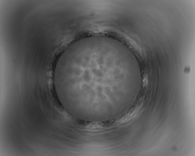 X0000103221156200808281400