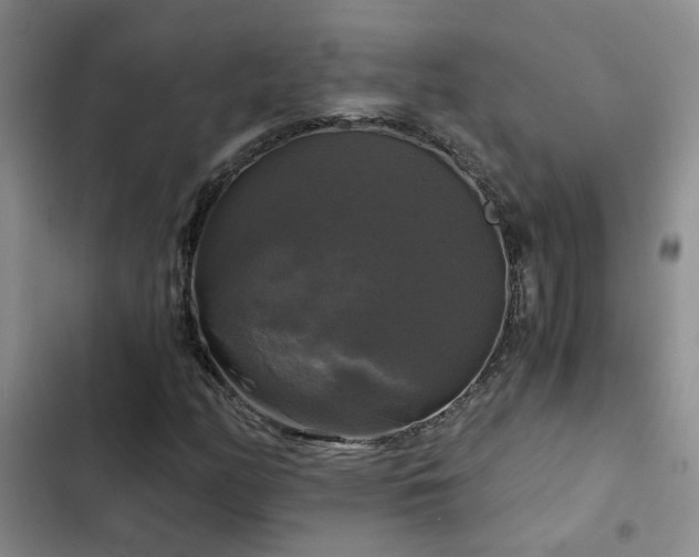 X0000103221158200808281400