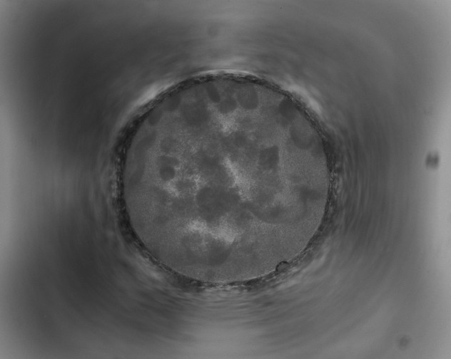 X0000103221159200808281400