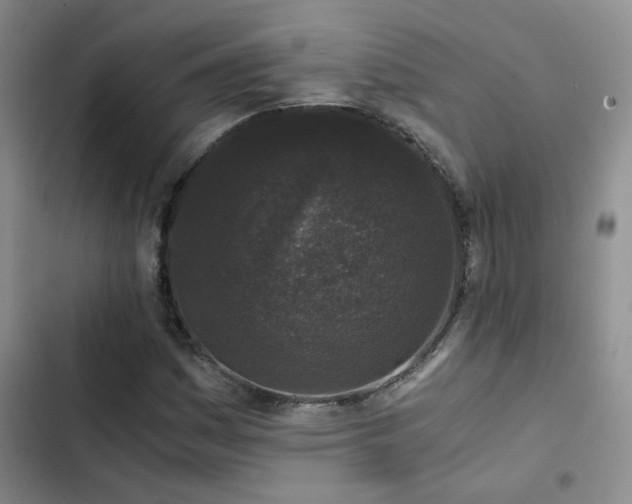 X0000103221161200808281400