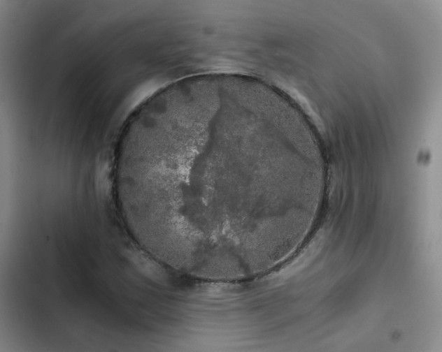 X0000103221163200808281400